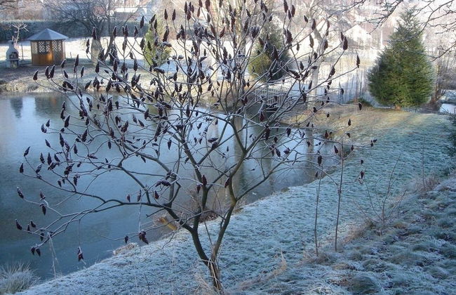 Appartements Maison Bellevue - Photo 43