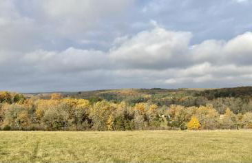 Le Domaine de Camberoux La Grande Longère - Foto 11