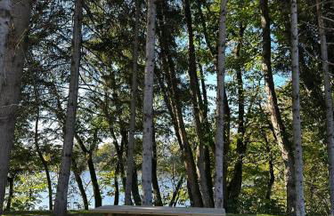 L'Écorce & le Tanin - 2 cabanes cosy pour 4, pêche - Foto 27