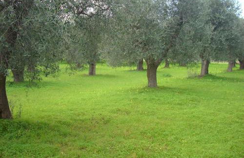 Dal Cavallaro - Foto 20