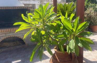 Manousos Guest House - Foto 25