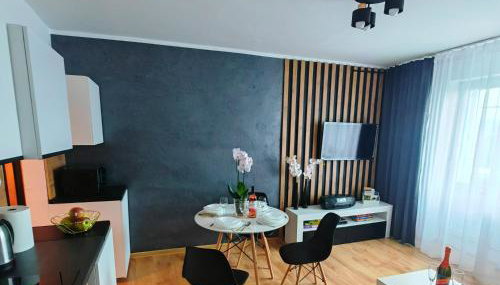 APARTAMENTY & DOMKI Chełmsko Śląskie - Foto 3