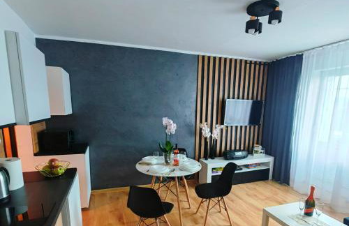 APARTAMENTY & DOMKI Chełmsko Śląskie - Foto 3