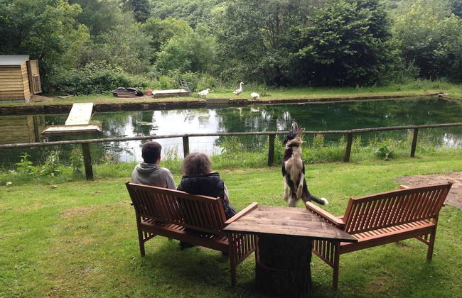 Relax in Mountain View Cottage at Cwmiar Farm - Photo 10