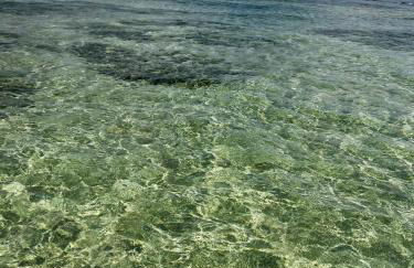 Sanzé Flats - São José da C Grande - Foto 33