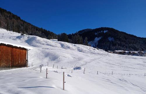 Ferienhof Steurer - Photo 29