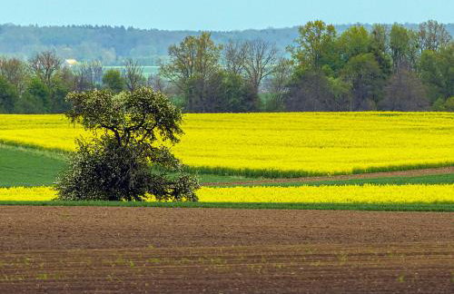 Cztery Luksusowe Domy na Mazurach, jezioro Juksty - SAKURAREST - Foto 31