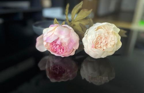 Pegadas no mar - Foto 7