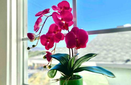 Lovely 3 bedroom house for 6 people Near SFO SF Bay Area Newly updated - Foto 17