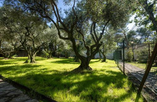 Gite Lucie - Foto 11