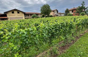 borgo nel vigneto 2 - Foto 9