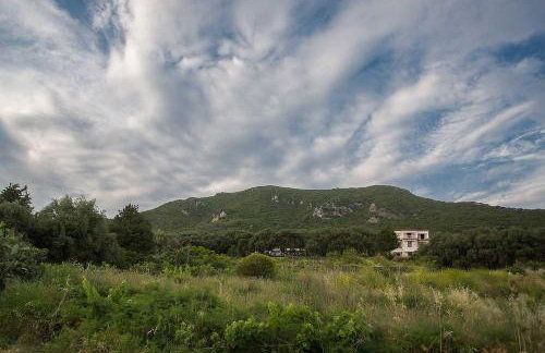 Areti Studios - Foto 11