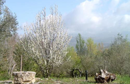 Agriturismo le Cammarose - Foto 24