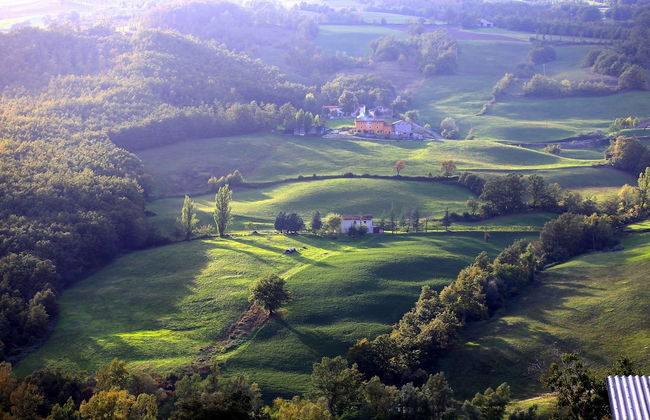 Fattoria Ca' di Fatino - Foto 35