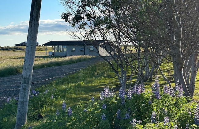 Hestaland Horse Farm Cottage - Foto 13