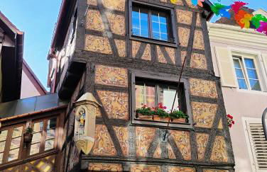 Gîte Le Marronnier, parking et terrasse au calme, entre Colmar-Riquewihr et Obernai, vue sur espaces verts et coteaux d Alsace, route du vin-châteaux - Foto 77