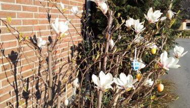 Haus Veronika - Foto 2, Garden view