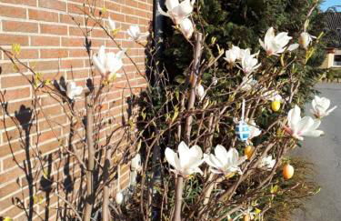 Haus Veronika - Foto 2