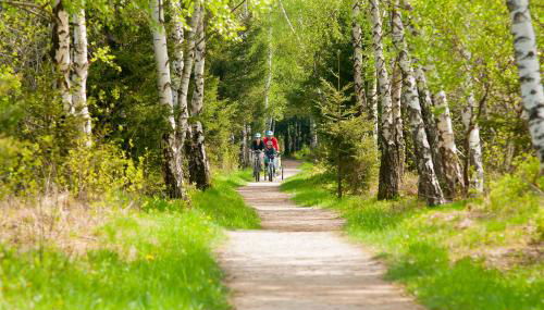 Ferienwohnungen Rosenegger - Photo 4