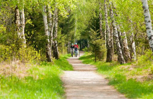 Ferienwohnungen Rosenegger - Photo 4