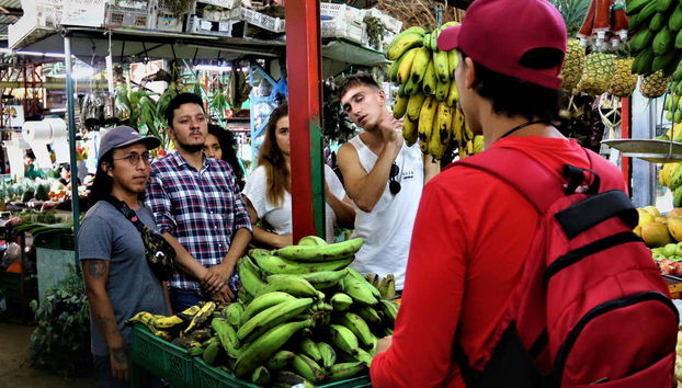 Tour pela Galería Alameda