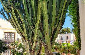 Very Very Vera Beach - Freshly Renovated - Foto 21