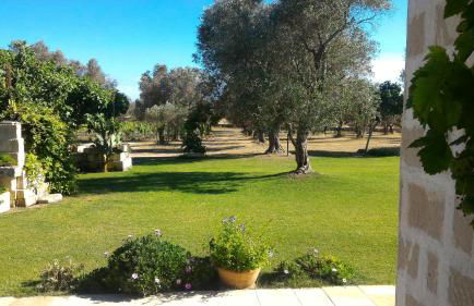 Masseria Vignenove - Foto 17