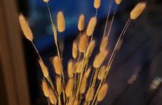 Homey Apartments Harbor Suite - Parking Two Bathrooms Netflix Sea view - Photo 47