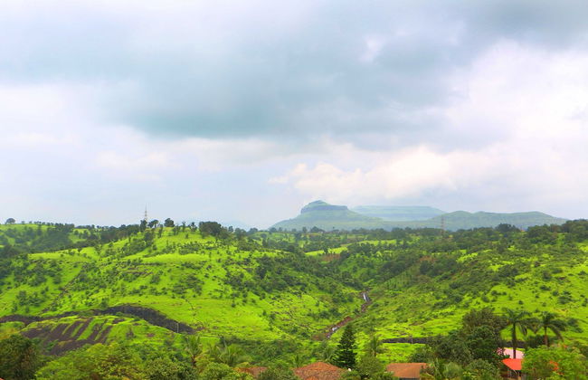 Royal Oakwood Villa by Shiloh Stay - Photo 33