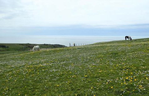 Gîte « Les Oyats » à 400 m de la plage - Foto 49