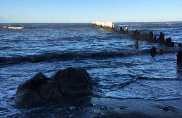 Villa Böck am Strand FeWo 8 - Foto 15