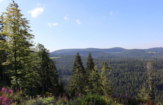 Haus Hiller Comfortable Holiday Residence - Photo 18