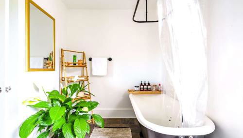 Jungle Fever by Jungle House Walk to High Street Near Convention Center OSU & Nationwide Arena Downtown & Short North 5 800 Reviews Private Parking - Foto 4