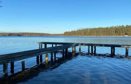 Tiny House mit Sauna am See - Photo 15