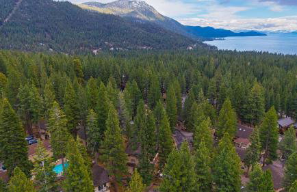 Tahoe Dreamin by Avantstay Central Location - Foto 84