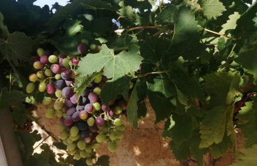 Arodamos Residence Mariou - Photo 27