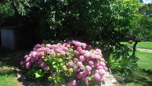 Gîte de Ségonac - Foto 2