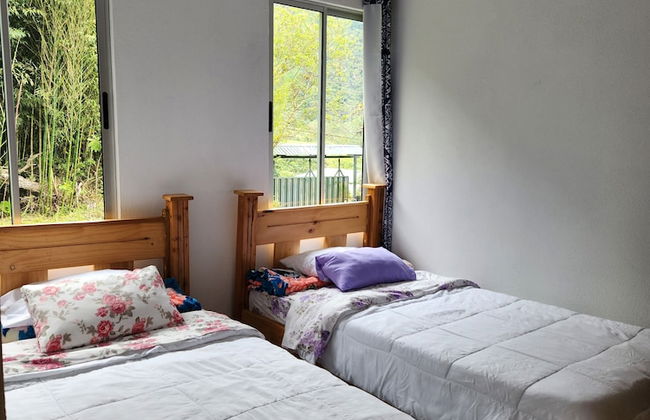 Selvática del Toro - Foto 5