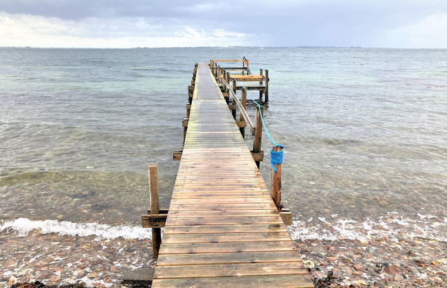 "Daike" - 25m from the sea - Foto 9