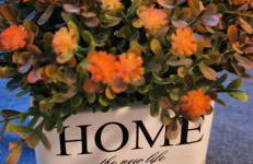 Haus Sissi - Photo 1