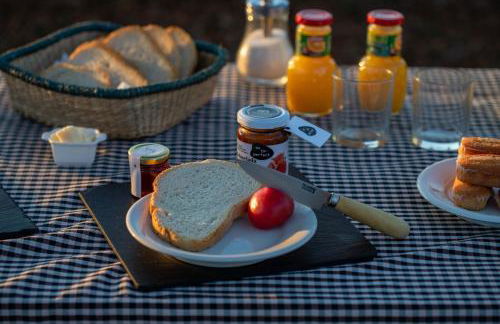 El Miracle - Photo 5