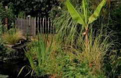 Ferienwohnung S+F Bokermann - Foto 7