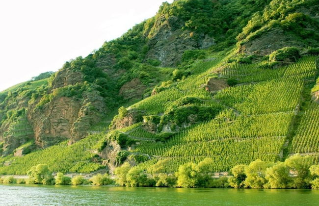 Foahrgaass 7a Modern Retreat - Foto 30