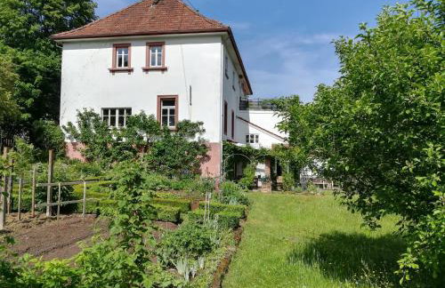 Ludwig im Künstlerhaus - Foto 4