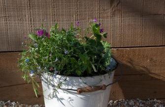 Bull Farm Studios - Foto 45