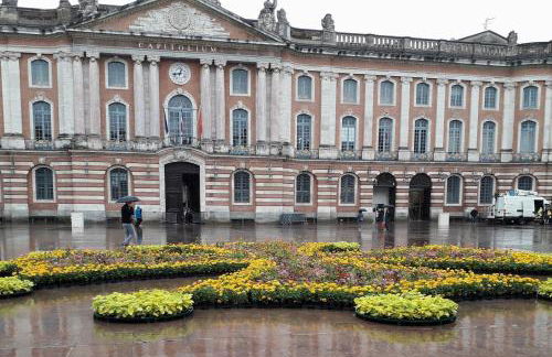 :) Grand studio lumineux à Toulouse et parking - Foto 39