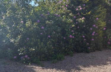 Kipplochan - Photo 79