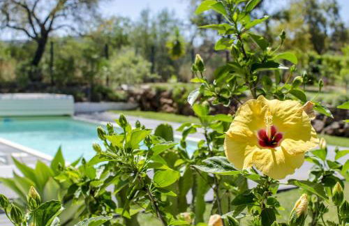 Villa Isabelle - Loule - Foto 36