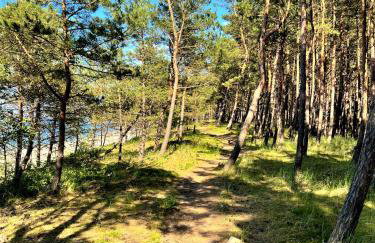 Apartament VIP Sztutolo z basenem - Foto 50