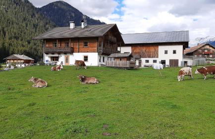 Althuberhof - Photo 12